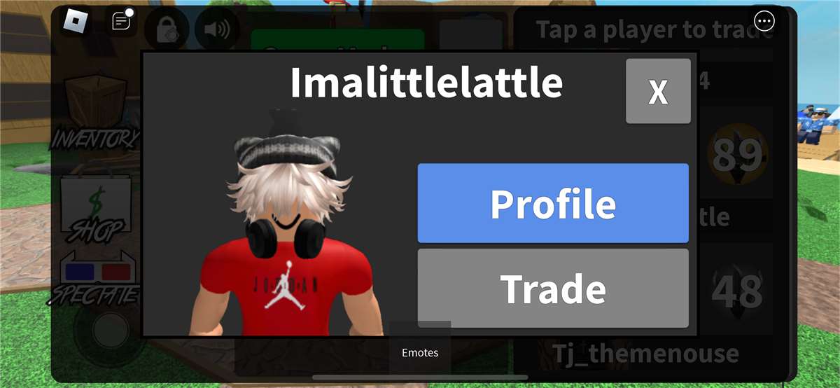 Game account sale Roblox