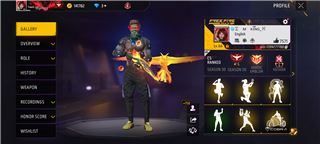 Accounts Free Fire