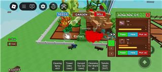 Accounts Roblox