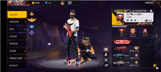 Accounts Free Fire