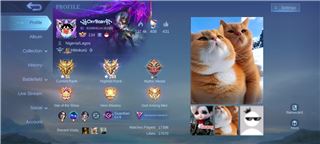 Accounts Mobile Legends