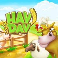 HD-KG01: Nív 151 | 17000 Celeiro | 4050 Silo